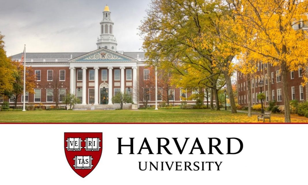 harvard phd mba